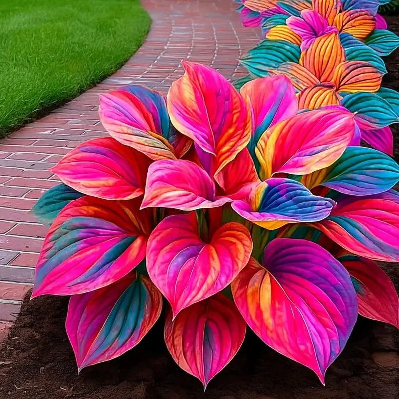 /69d0f91f3fc8800009e9bfb7/2026/04/14/product-img-69ddede6f707c0639afa465d.png